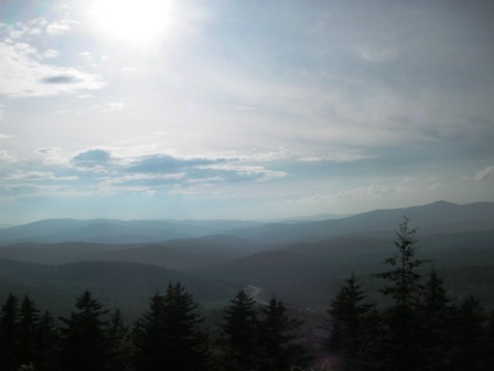 looking west from Mt. Olga firetower